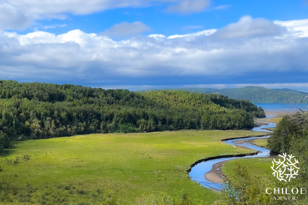 Chiloe Adentro